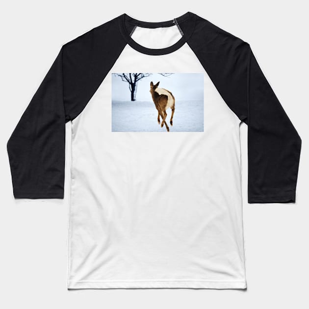 White Tailed Deer In Flight... Baseball T-Shirt by LaurieMinor